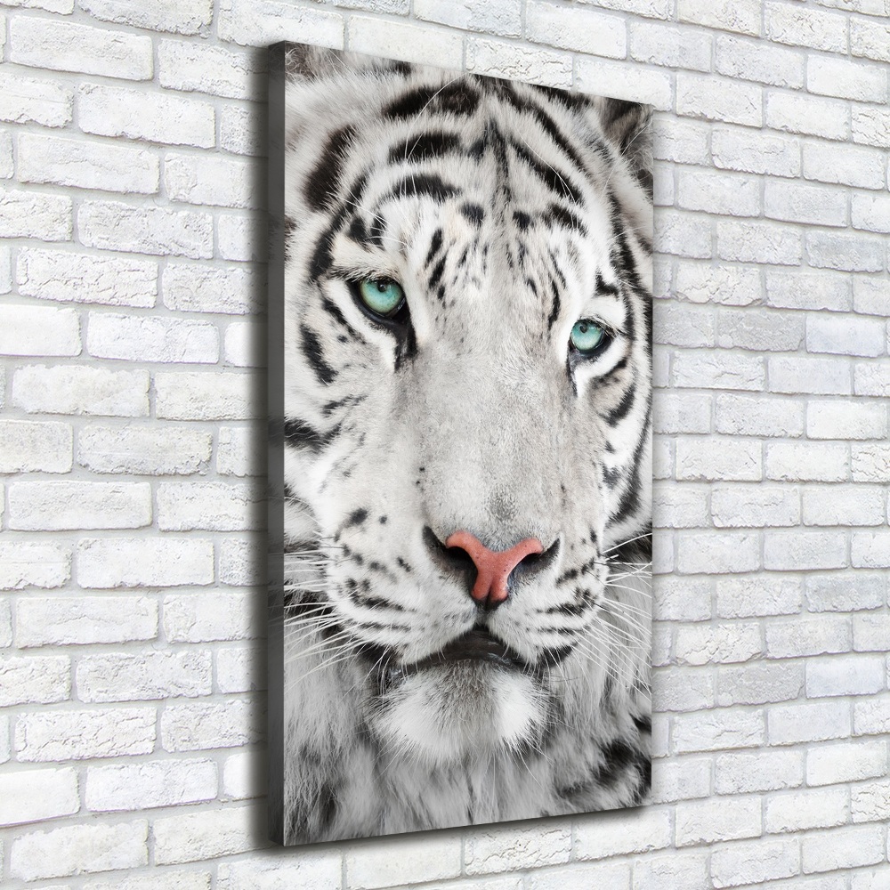 Tableau photo sur toile Tigre blanc