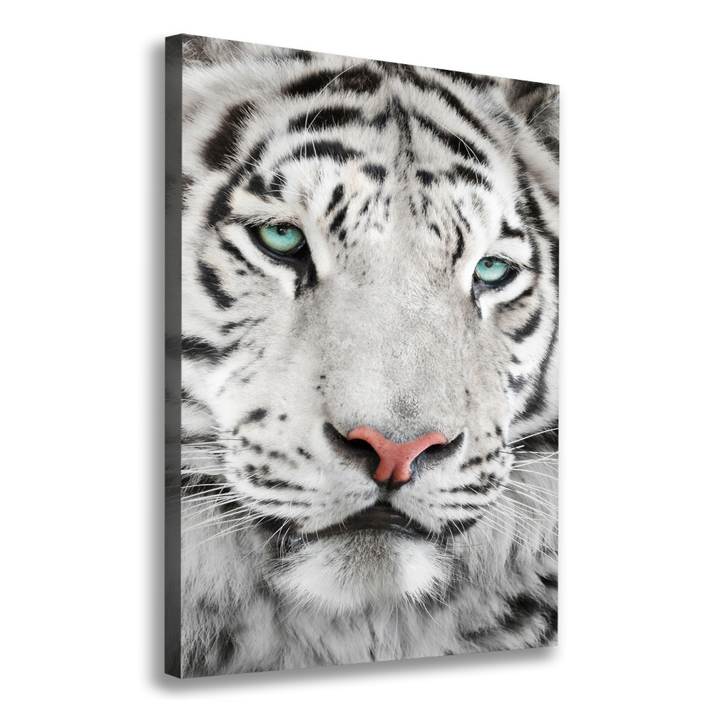 Tableau photo sur toile Tigre blanc