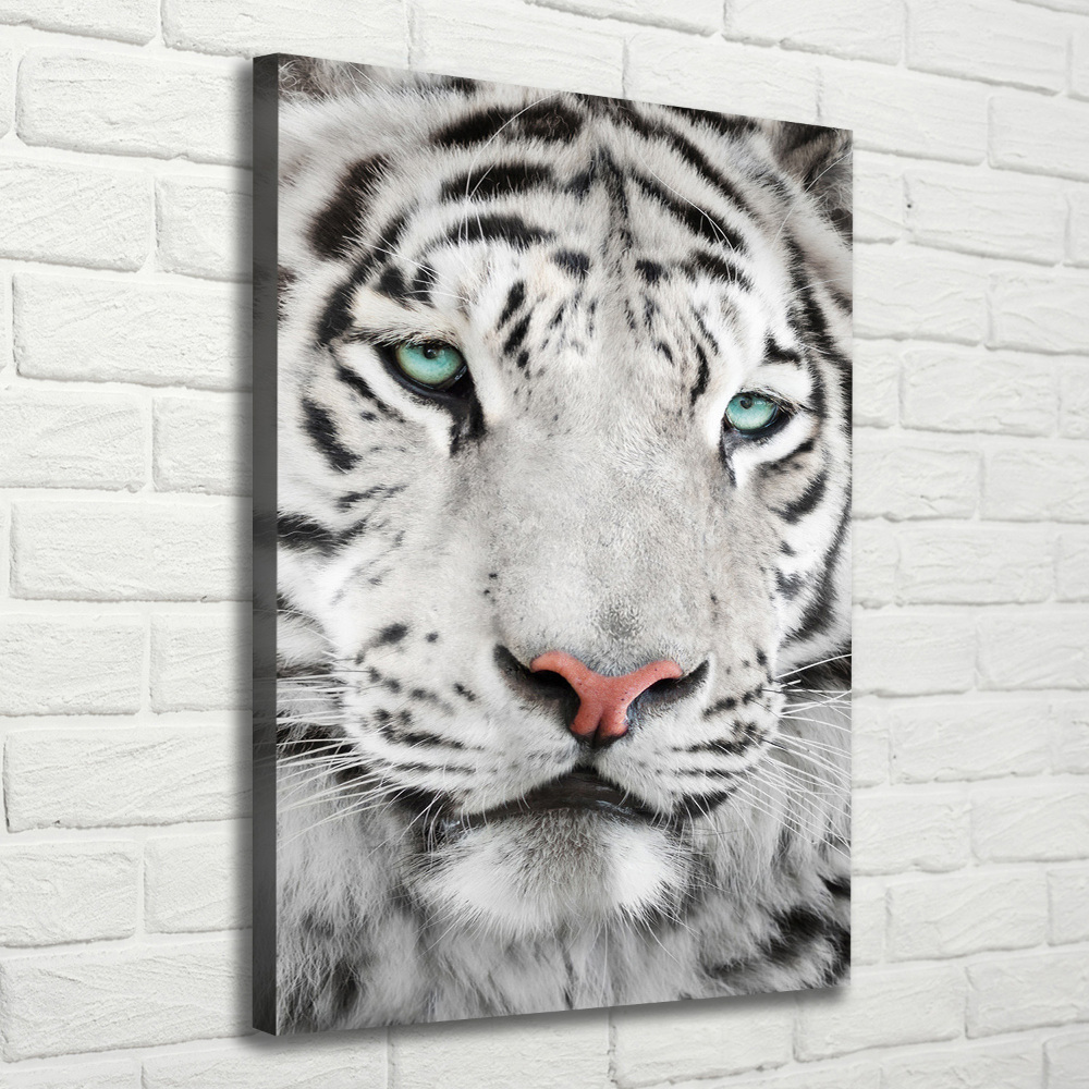 Tableau photo sur toile Tigre blanc