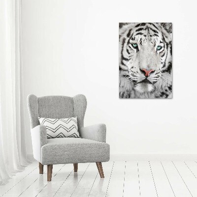 Tableau photo sur toile Tigre blanc