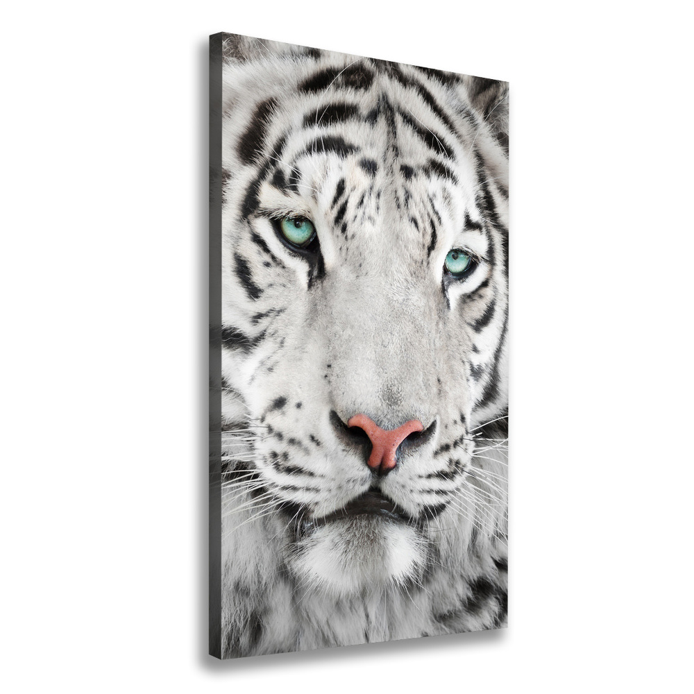 Tableau photo sur toile Tigre blanc