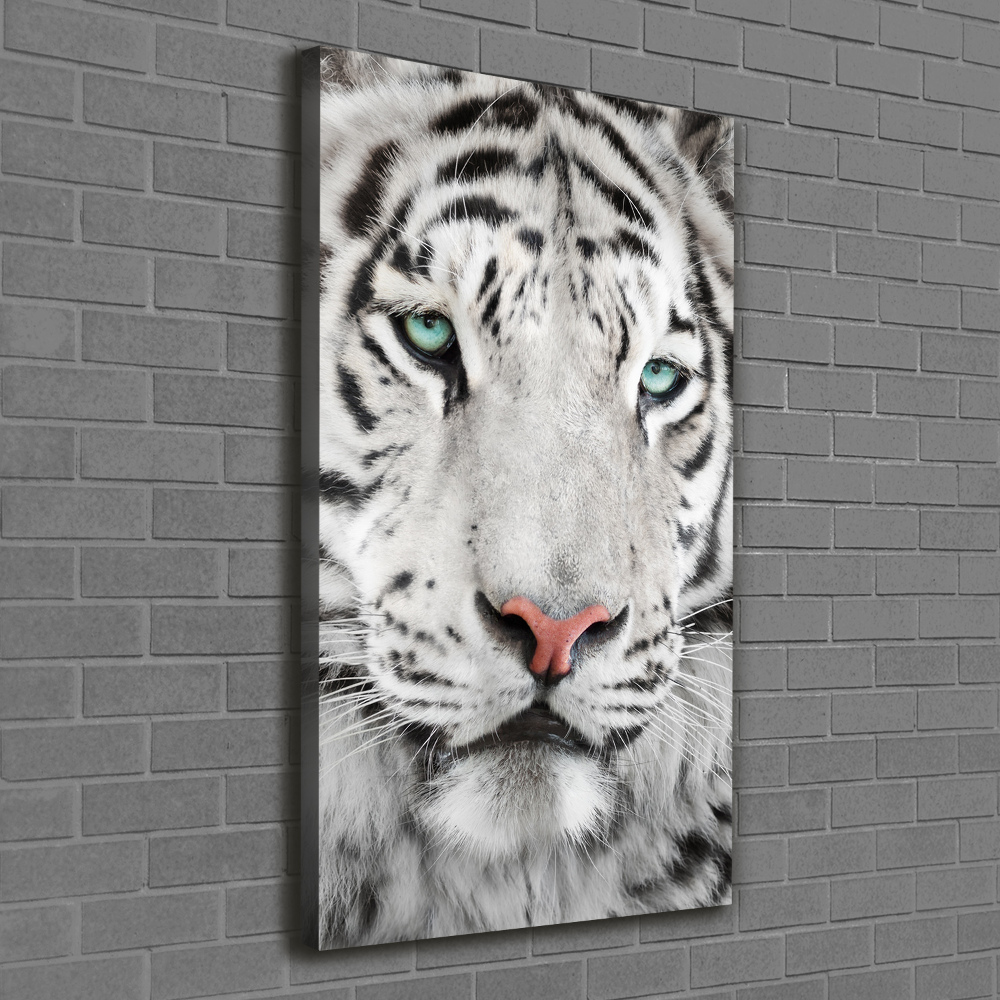 Tableau photo sur toile Tigre blanc