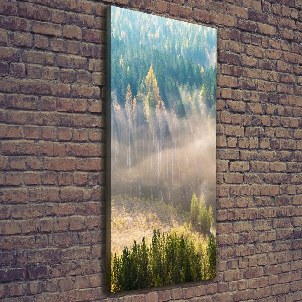 Tableau toile imprimée Brume sur la forêt