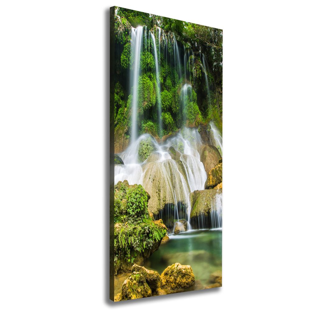 Tableau mural sur toile Cascade dans la jungle