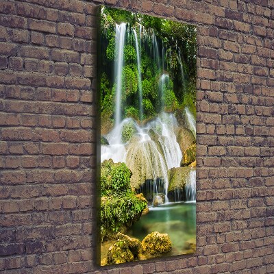 Tableau mural sur toile Cascade dans la jungle