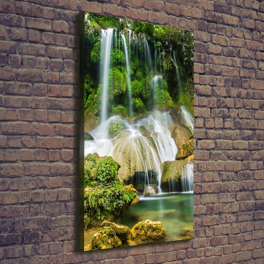 Tableau mural sur toile Cascade dans la jungle