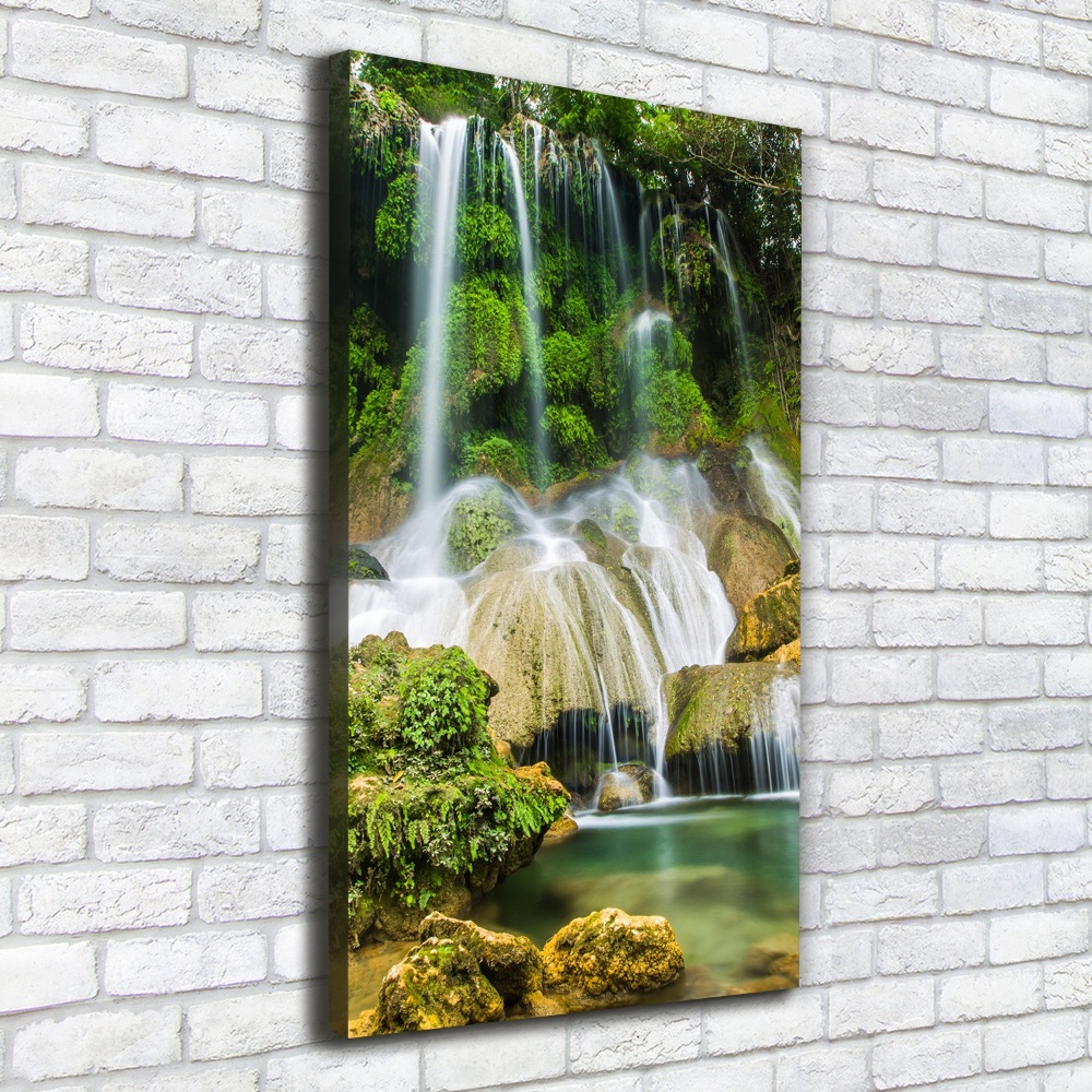 Tableau mural sur toile Cascade dans la jungle