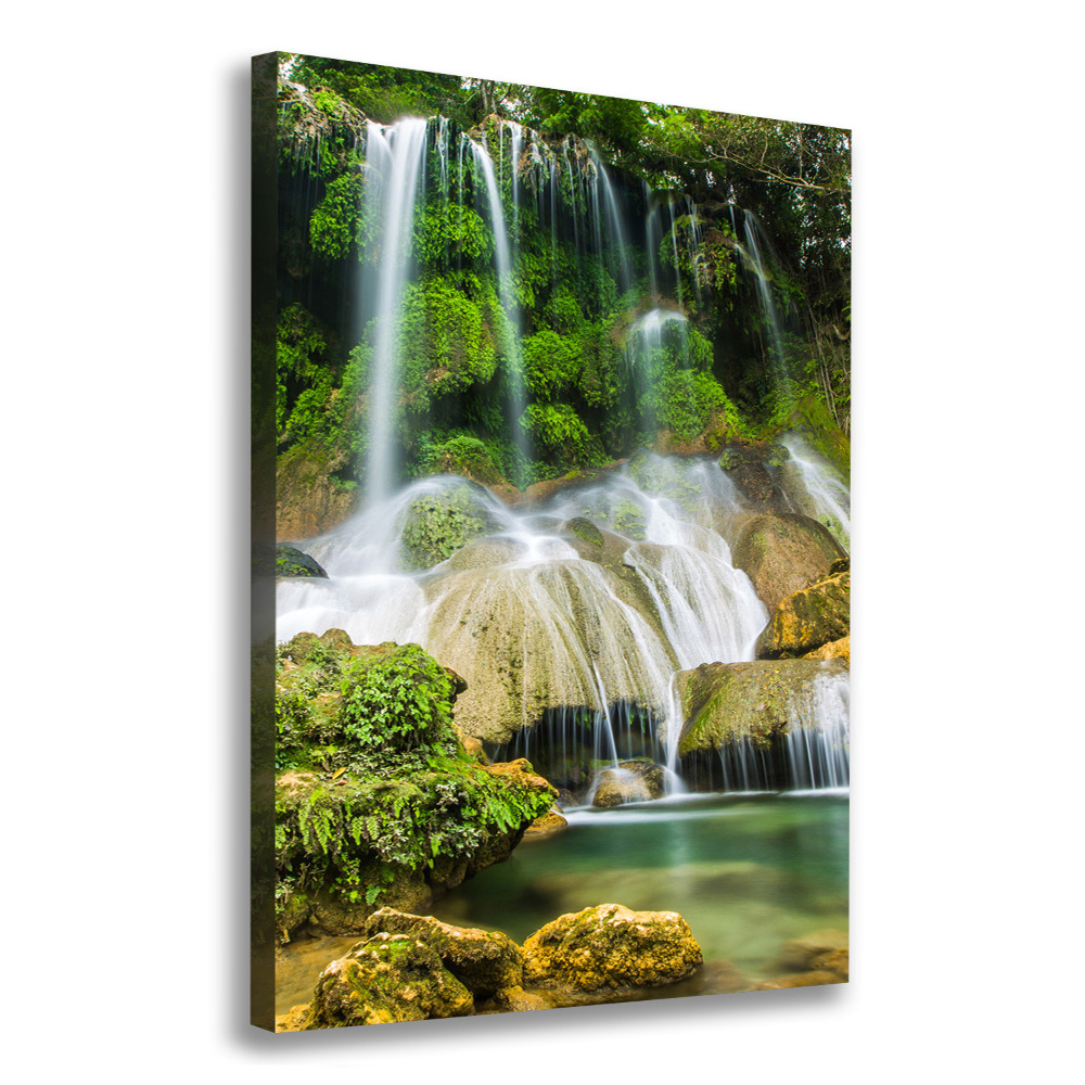 Tableau mural sur toile Cascade dans la jungle