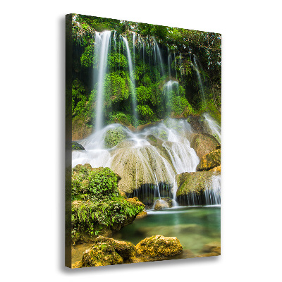 Tableau mural sur toile Cascade dans la jungle