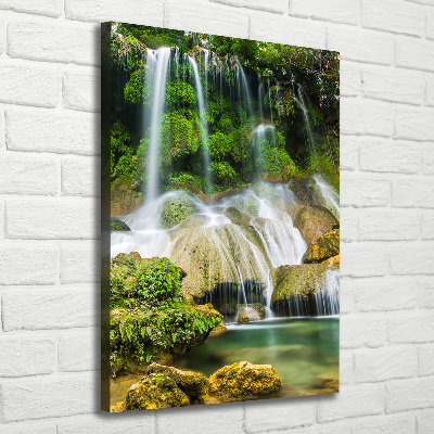 Tableau mural sur toile Cascade dans la jungle