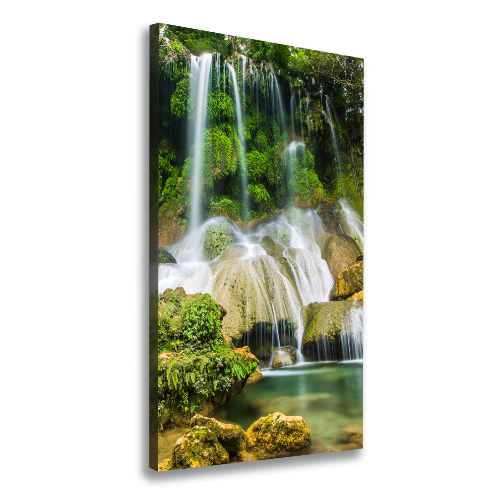 Tableau mural sur toile Cascade dans la jungle