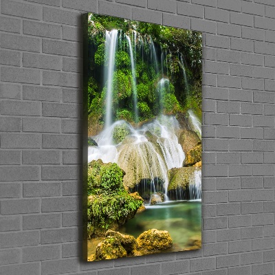 Tableau mural sur toile Cascade dans la jungle