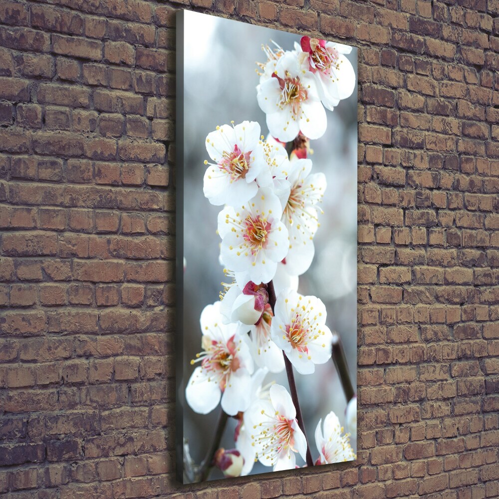 Tableau mural sur toile Fleurs de cerisier