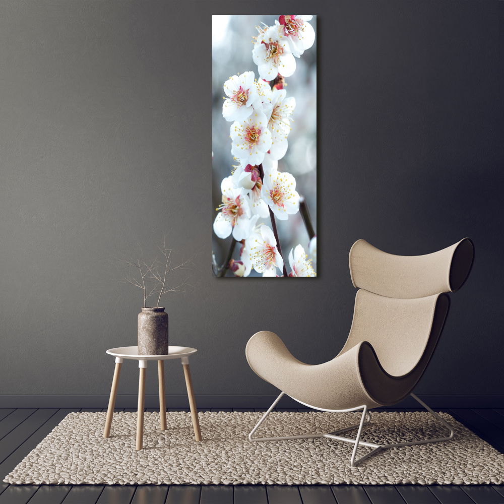 Tableau mural sur toile Fleurs de cerisier