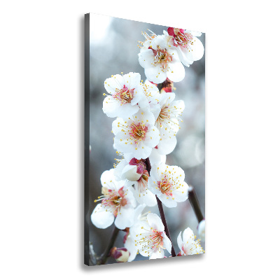 Tableau mural sur toile Fleurs de cerisier