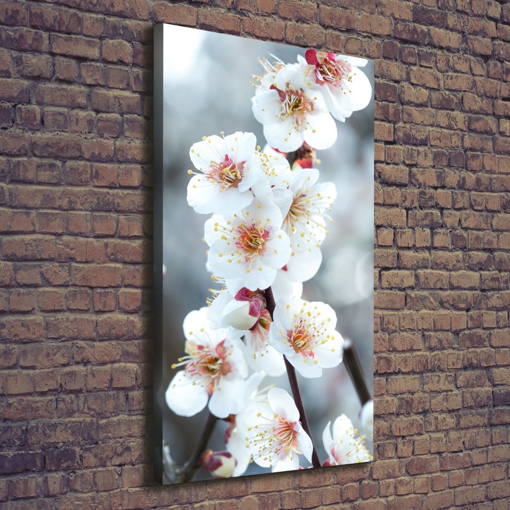 Tableau mural sur toile Fleurs de cerisier