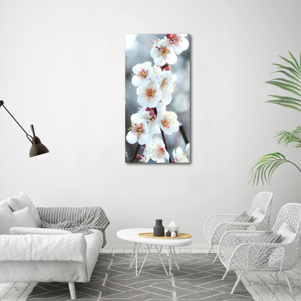 Tableau mural sur toile Fleurs de cerisier