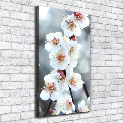 Tableau mural sur toile Fleurs de cerisier