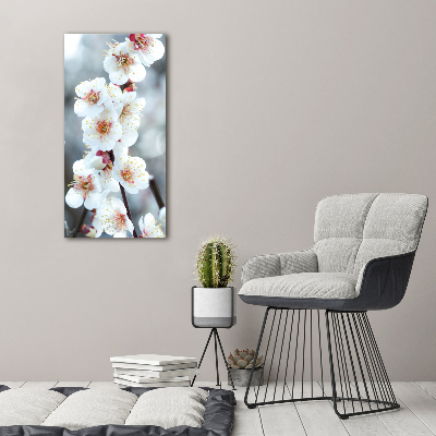 Tableau mural sur toile Fleurs de cerisier