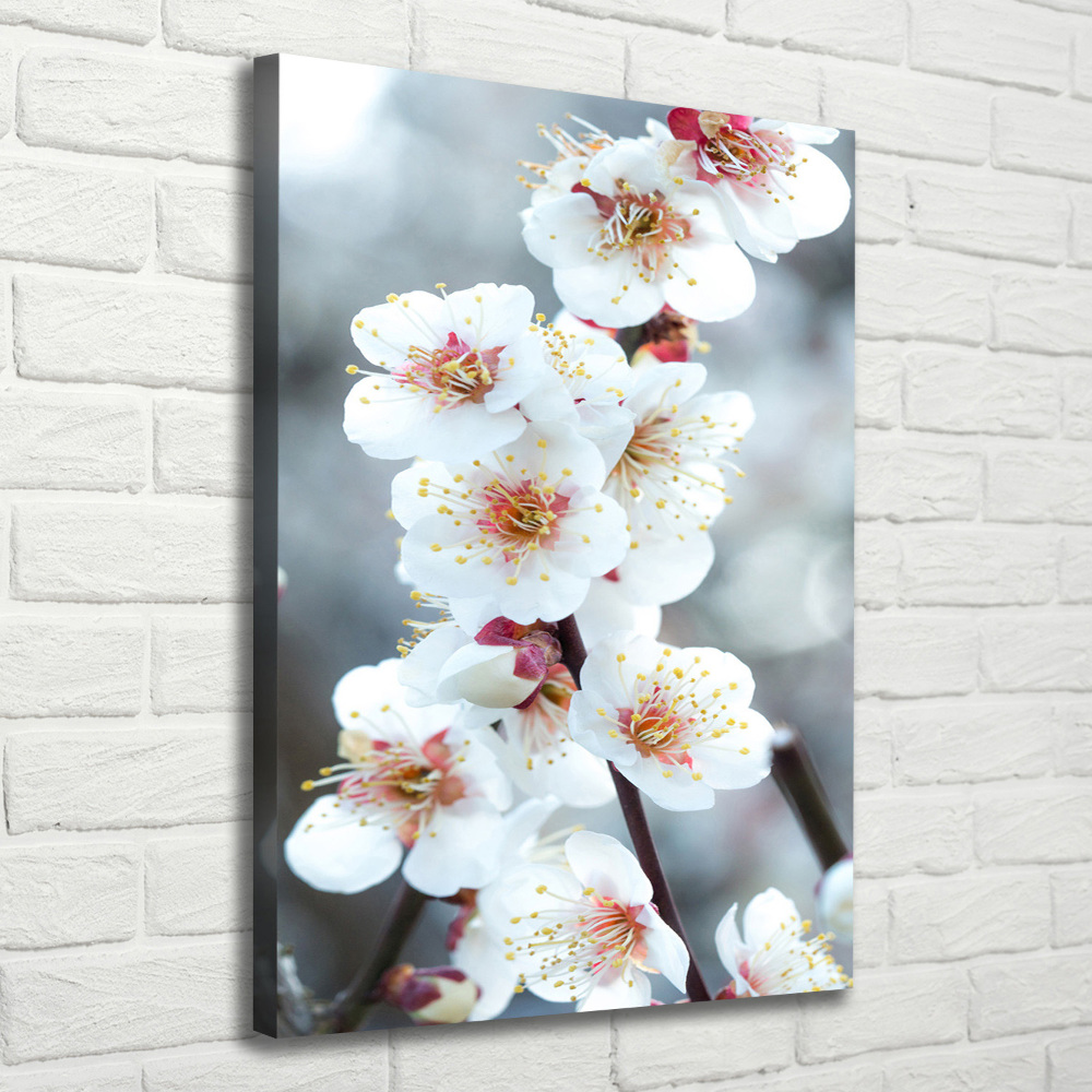 Tableau mural sur toile Fleurs de cerisier