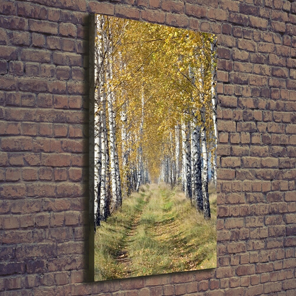 Tableau toile imprimée Forêt bouleau