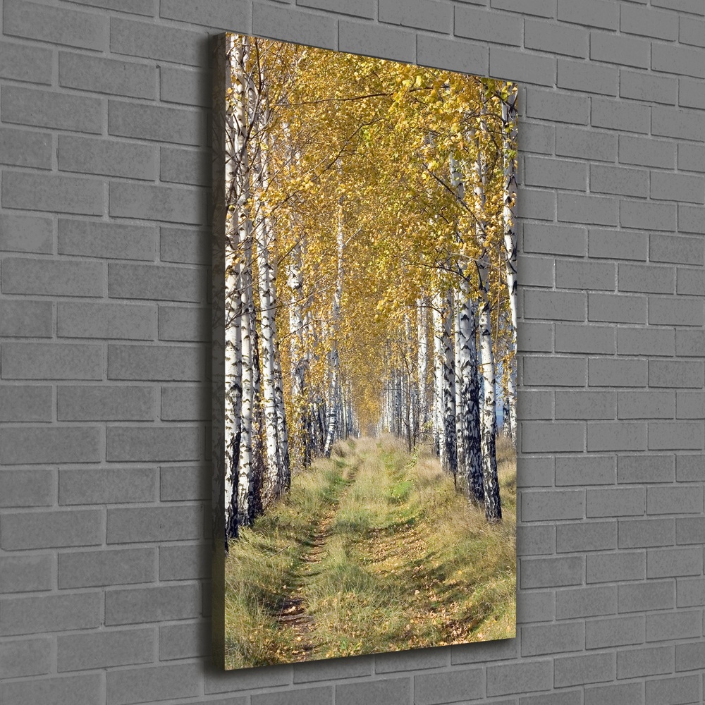 Tableau toile imprimée Forêt bouleau