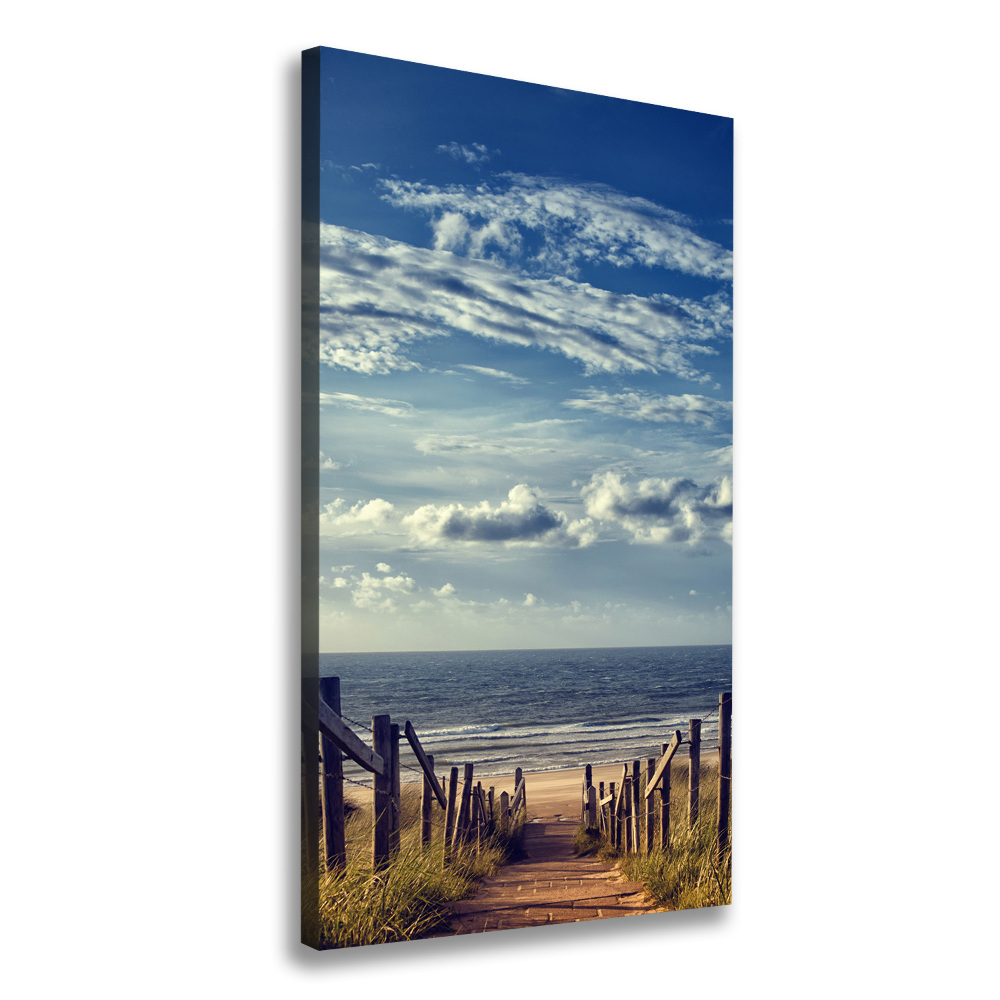 Tableau photo sur toile Chemin vers les plages