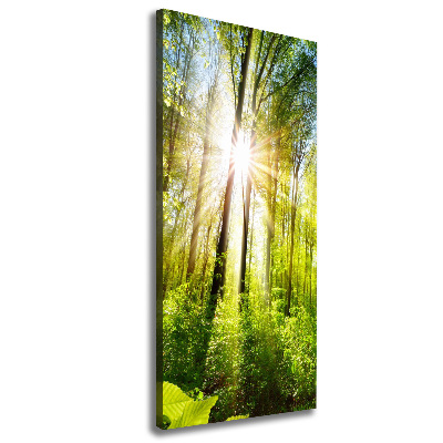 Tableau sur toile Soleil dans la forêt