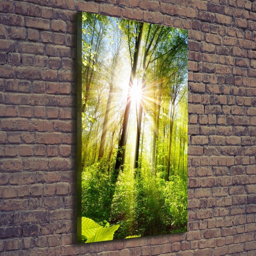 Tableau sur toile Soleil dans la forêt