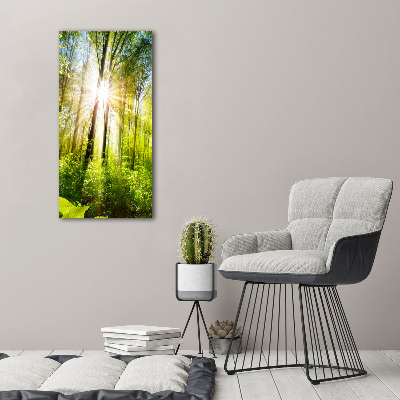 Tableau sur toile Soleil dans la forêt