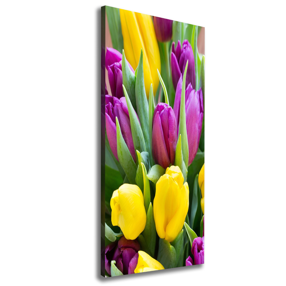 Tableau sur toile Tulipes colorées