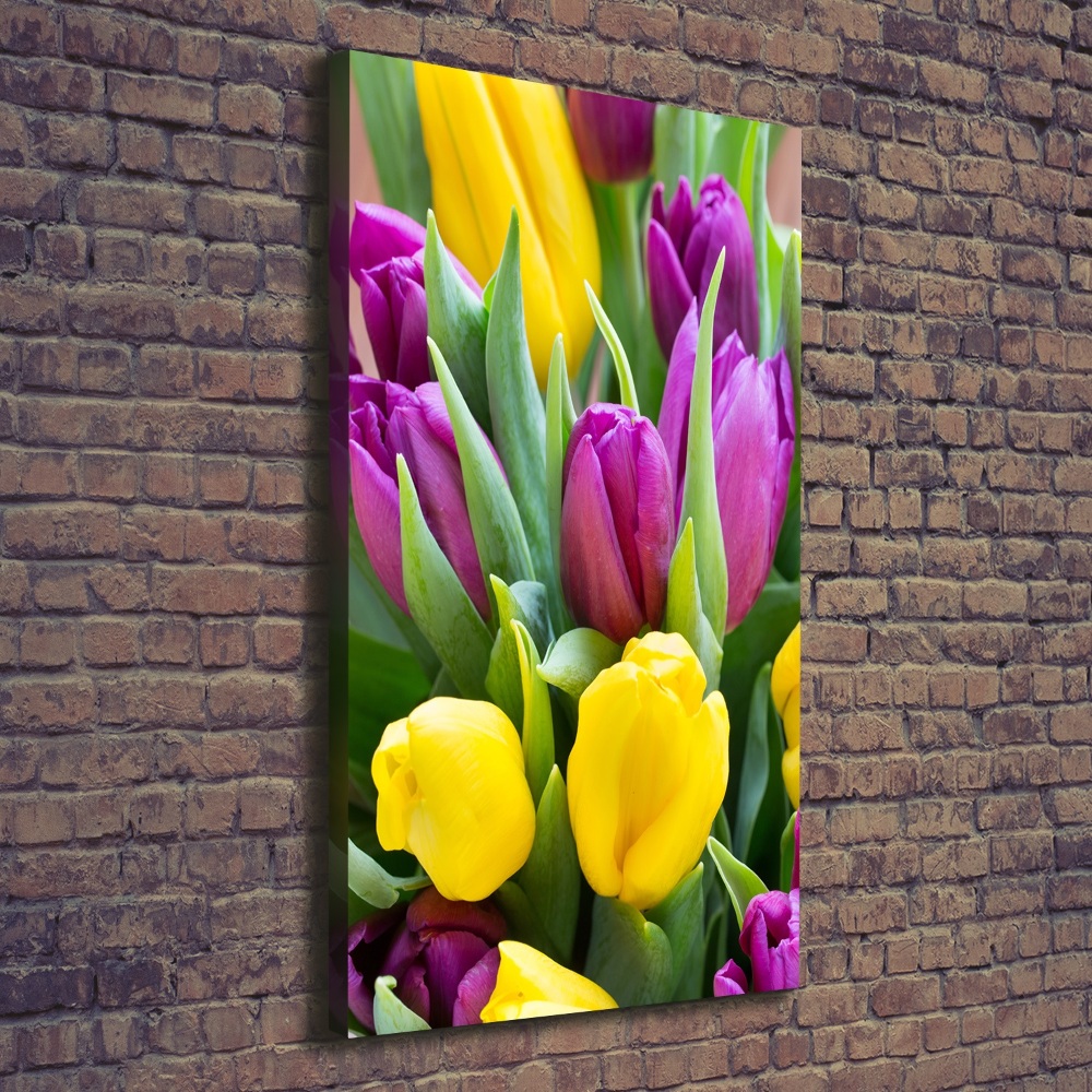 Tableau sur toile Tulipes colorées