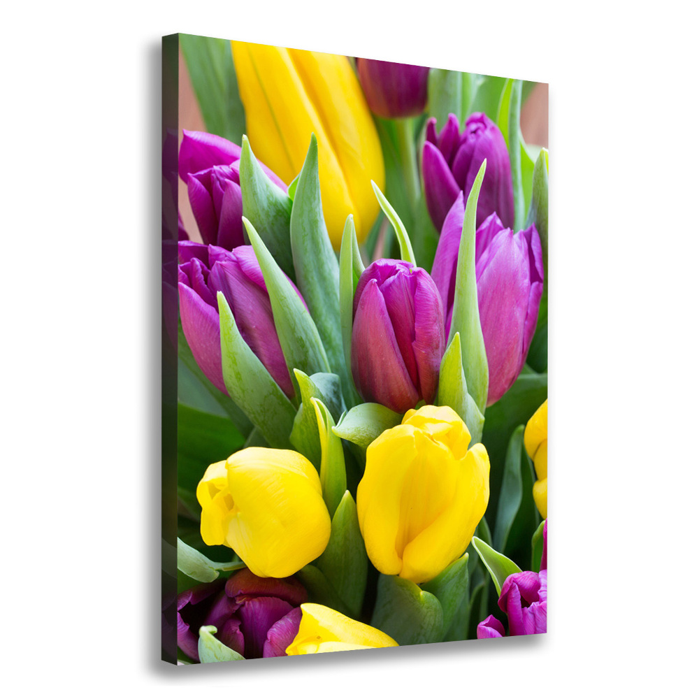 Tableau sur toile Tulipes colorées