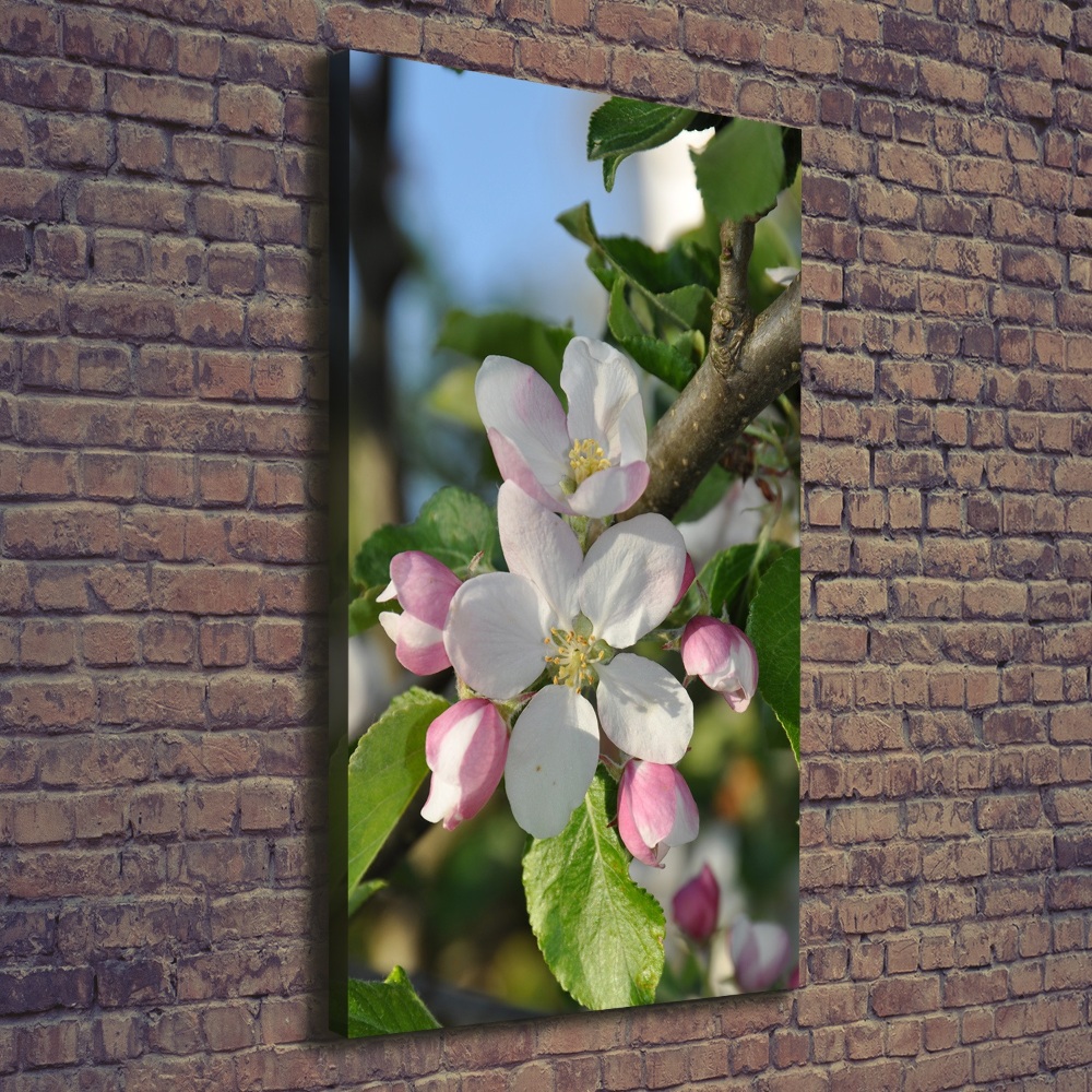 Tableau sur toile Fleurs de cerisier