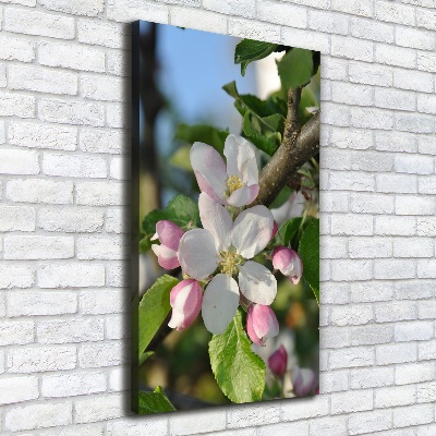 Tableau sur toile Fleurs de cerisier