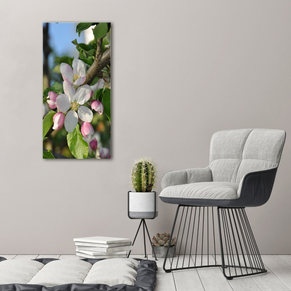 Tableau sur toile Fleurs de cerisier