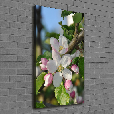 Tableau sur toile Fleurs de cerisier