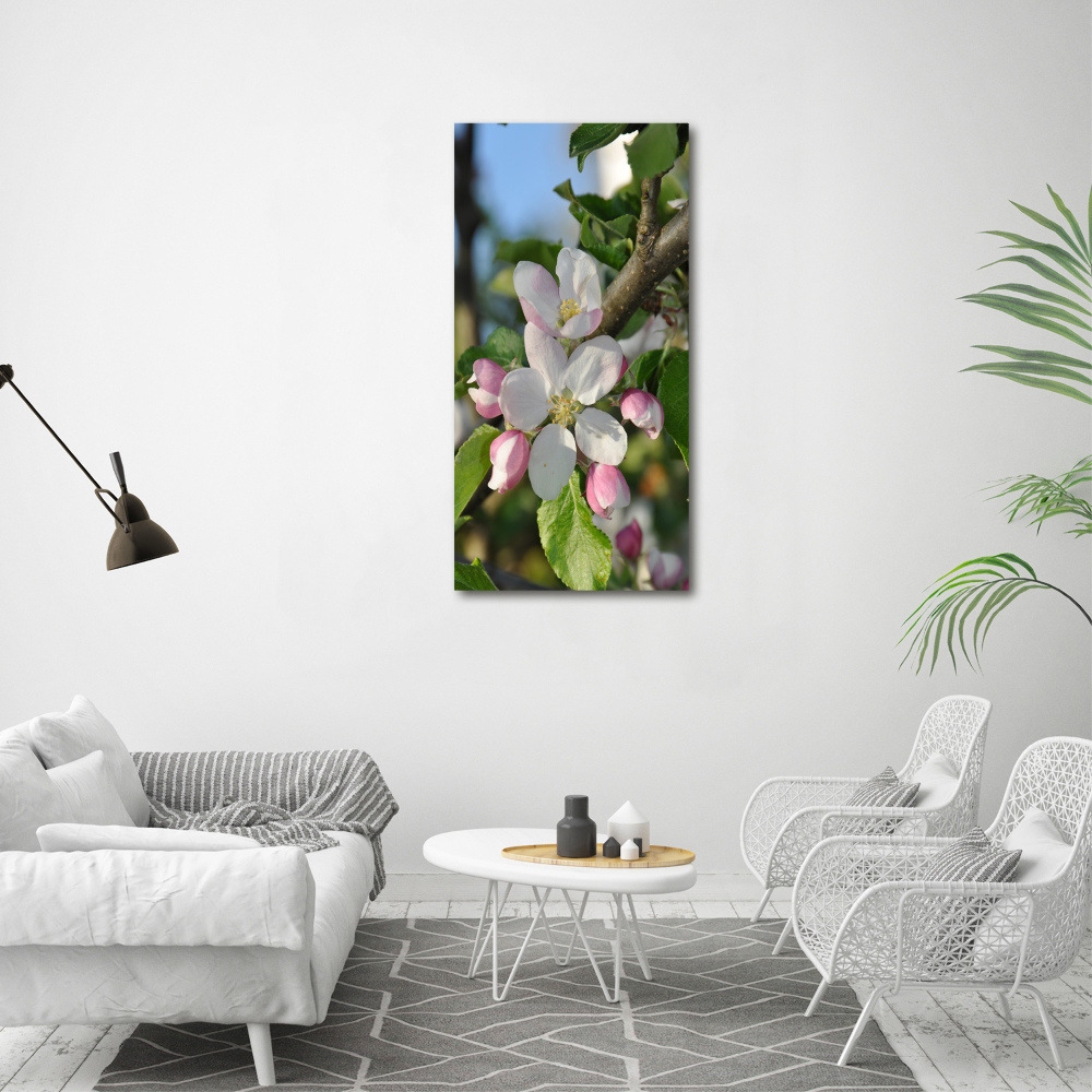 Tableau sur toile Fleurs de cerisier