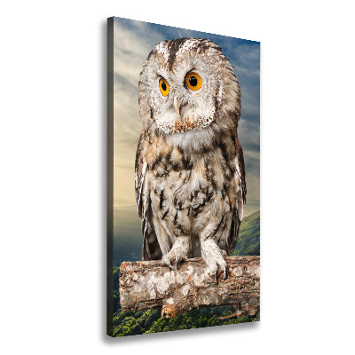 Tableau imprimé sur toile Hibou sur une colline