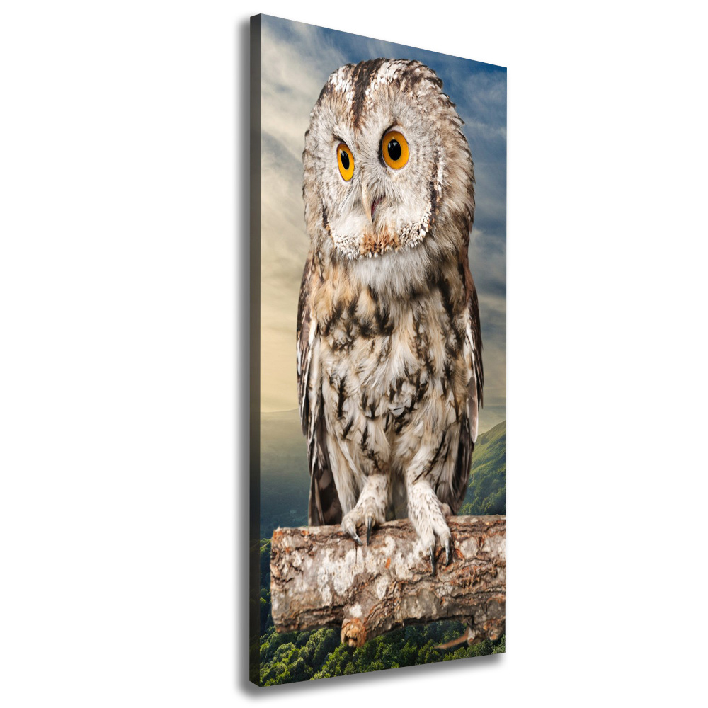 Tableau imprimé sur toile Hibou sur une colline