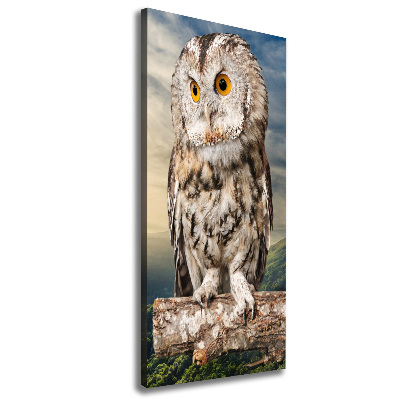 Tableau imprimé sur toile Hibou sur une colline