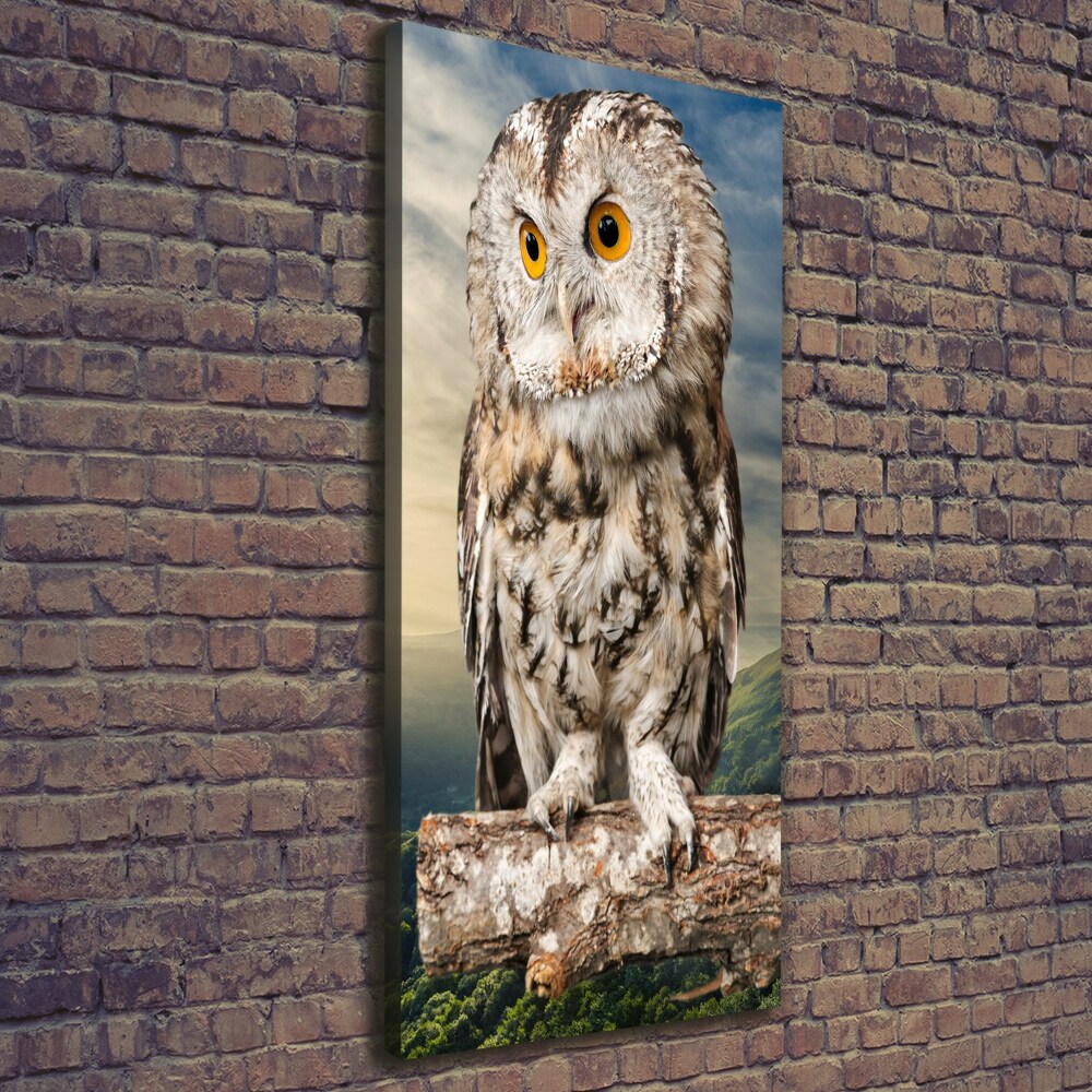 Tableau imprimé sur toile Hibou sur une colline