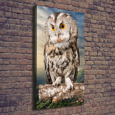 Tableau imprimé sur toile Hibou sur une colline