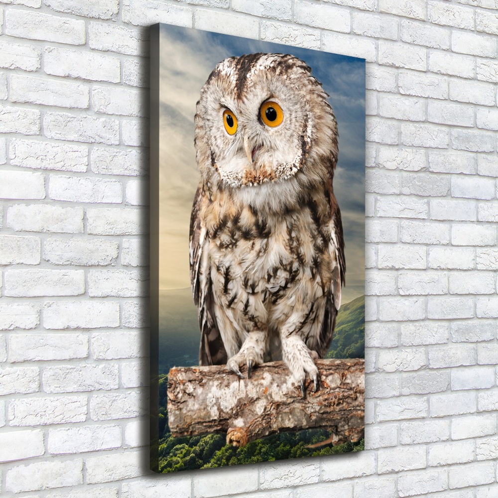 Tableau imprimé sur toile Hibou sur une colline