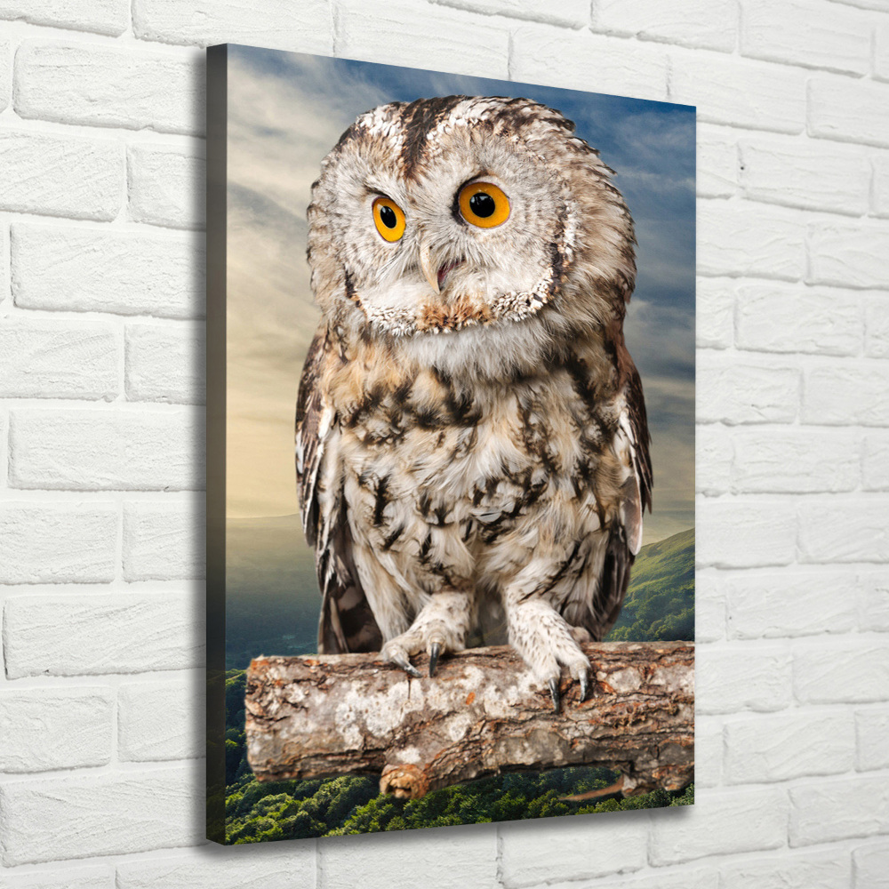 Tableau imprimé sur toile Hibou sur une colline