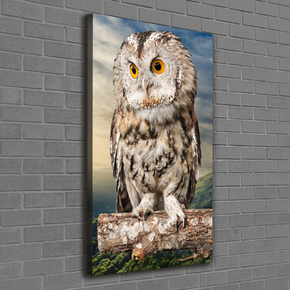 Tableau imprimé sur toile Hibou sur une colline