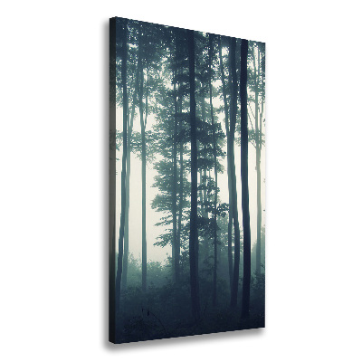 Tableau toile imprimée Brume dans la forêt