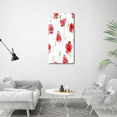 Tableau sur toile Illustration de coquelicots