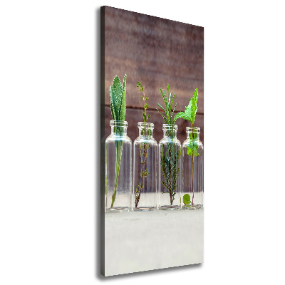 Tableau sur toile Herbes en pots