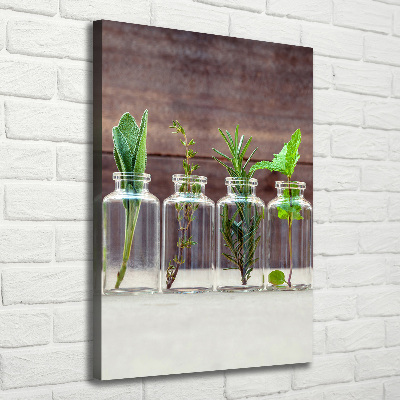 Tableau sur toile Herbes en pots